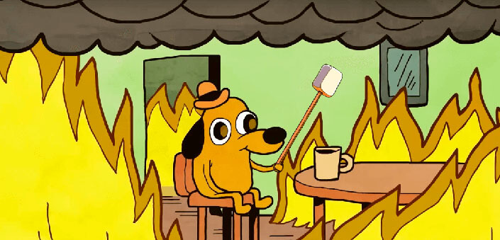 The dog is roasting marshmallows in the flames of the fire