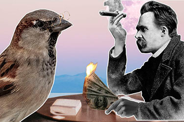 Nietzsche and the Sparrow